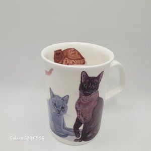 CATS GALORE Fine Bone China LANCASTER Mug by ROY KIRKHAM